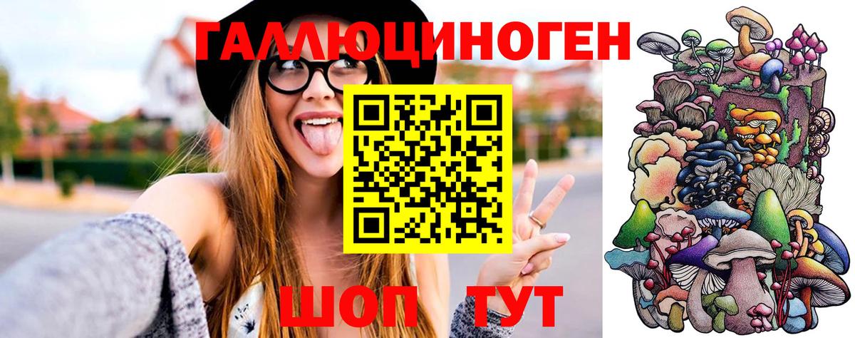 Мирный  купить  сайты  Вход с VPN  Псилоцибиновые грибы прущие грибы 